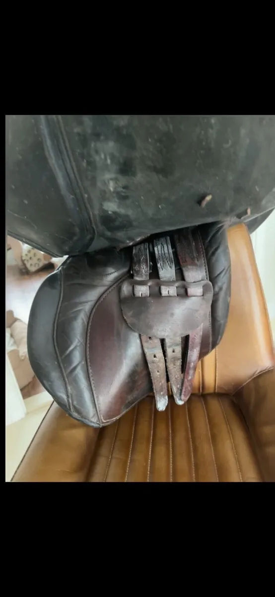 Berney Bro Saddle - Image 4