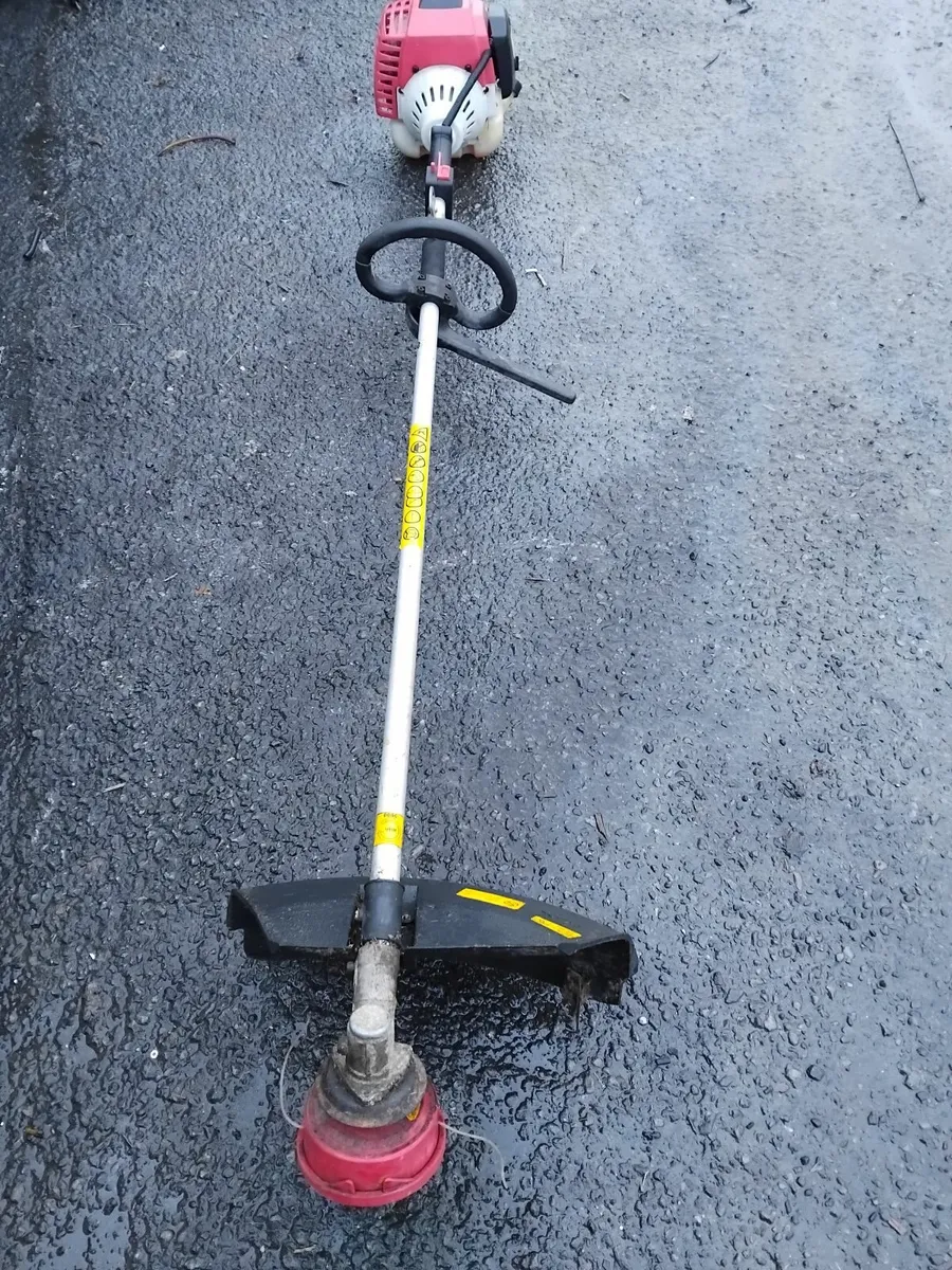 Grass strummers running very well priced - Image 4