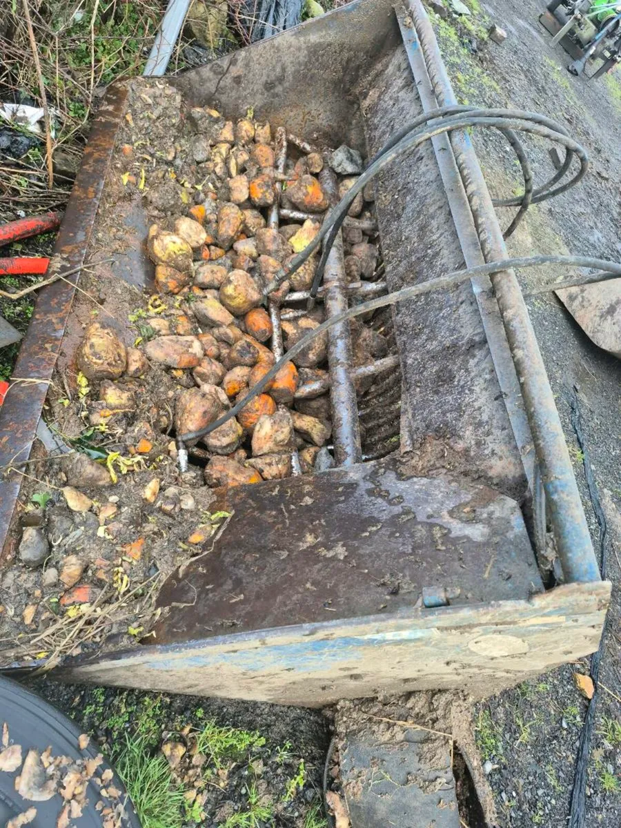 Beet chopper - Image 2