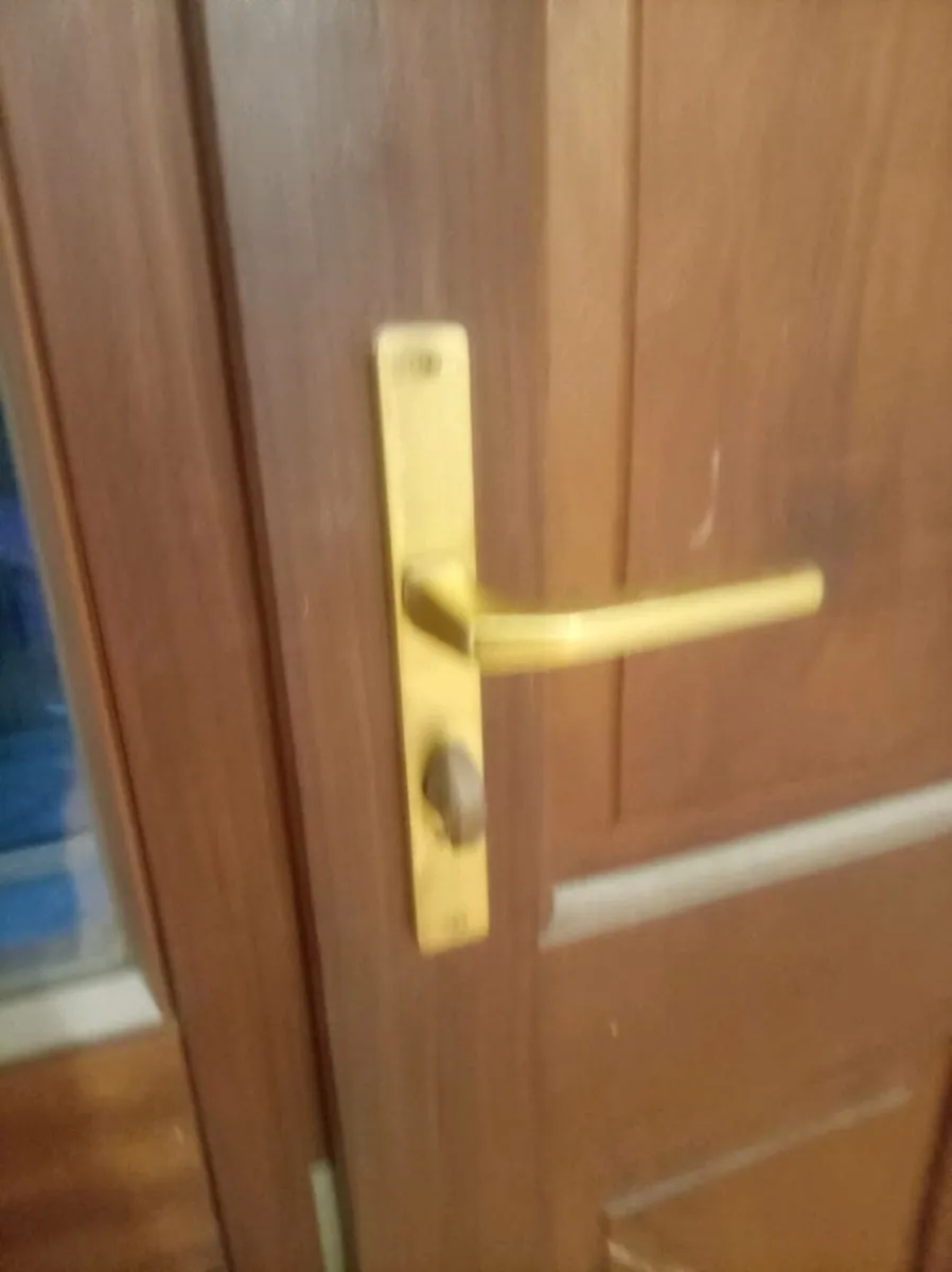 Solid Teak front door - Image 4