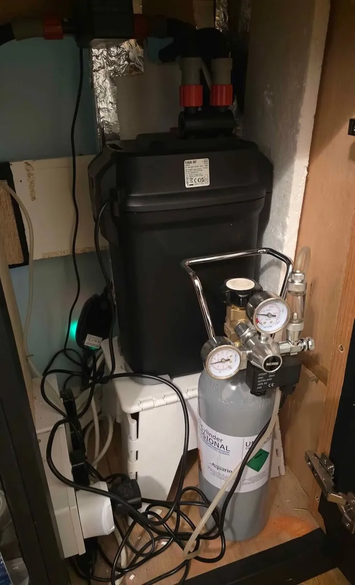 240 litre aquarium. Juwel 240 with full setup - Image 3