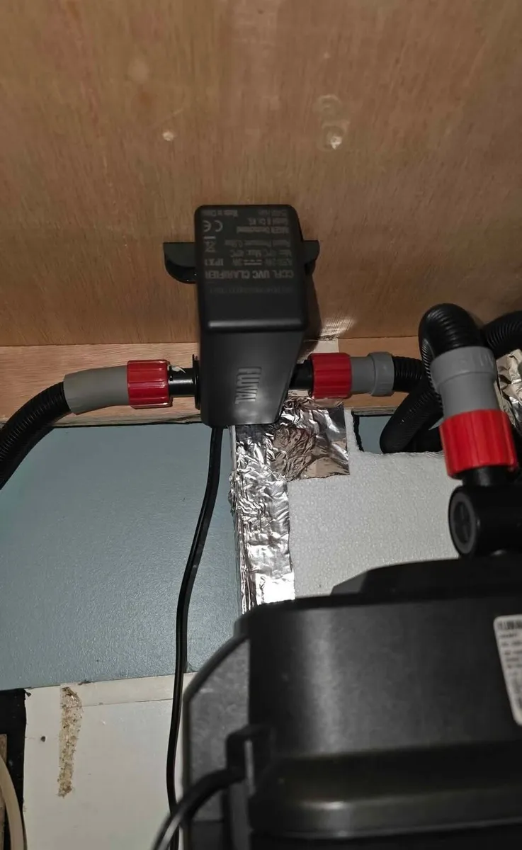 240 litre aquarium. Juwel 240 with full setup - Image 4