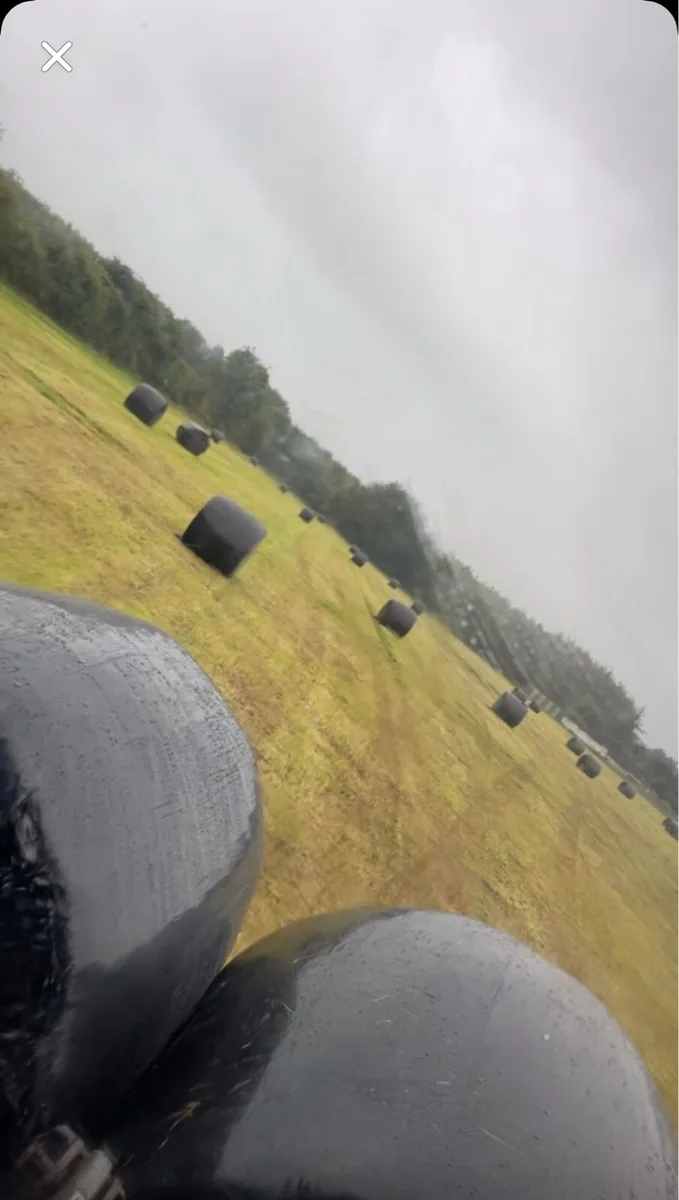 Silage bales