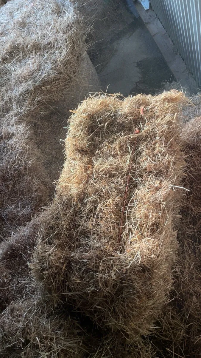 Small square bales - Image 1