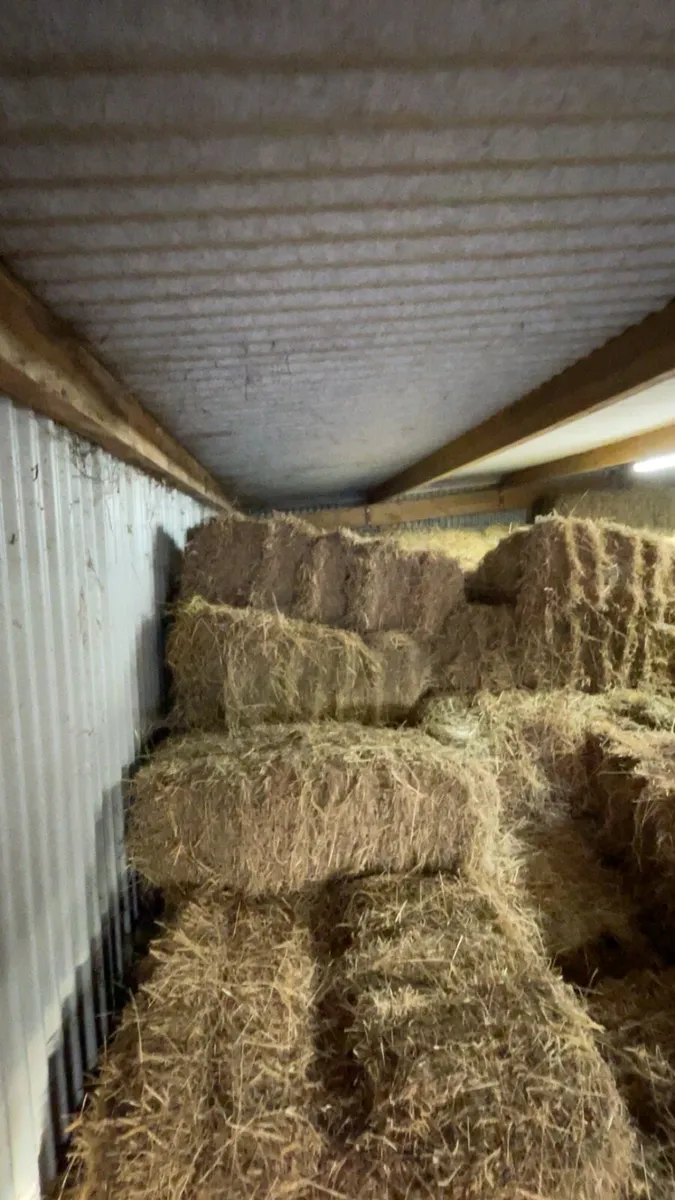 Small square bales - Image 3
