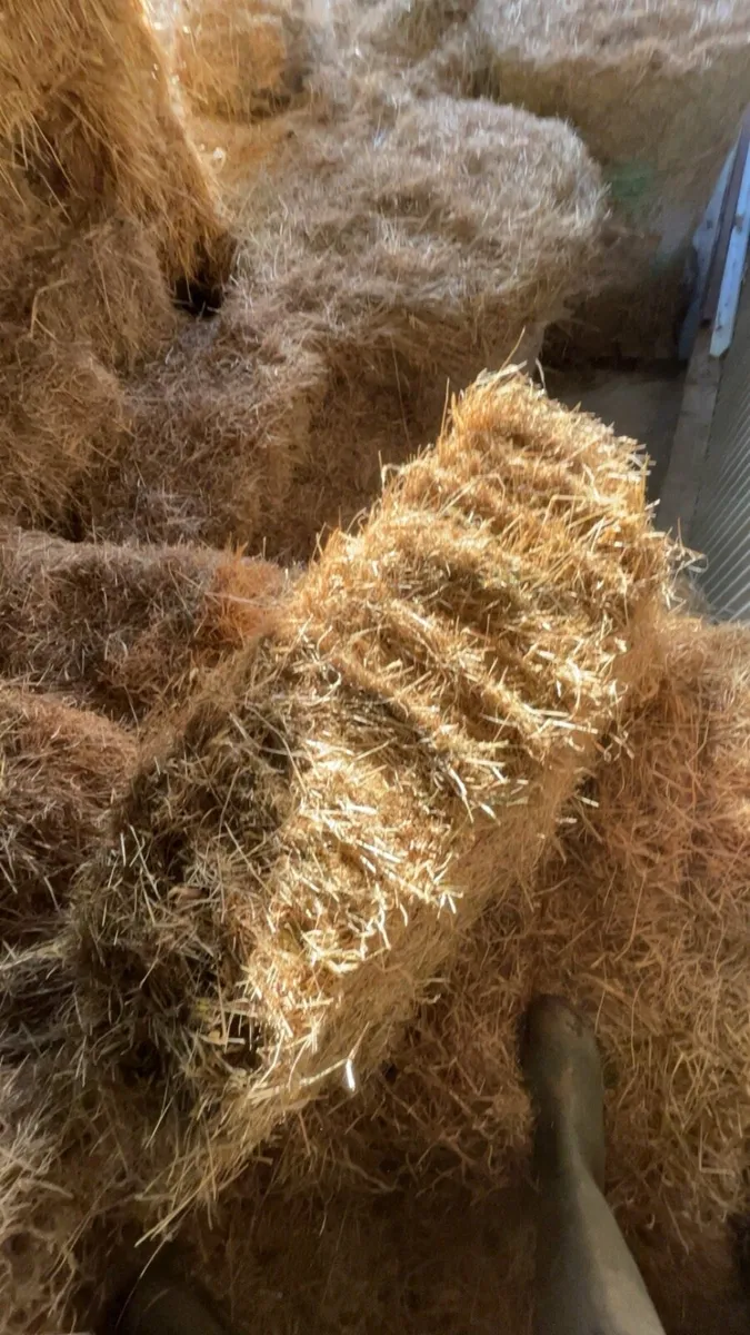 Small square bales - Image 4