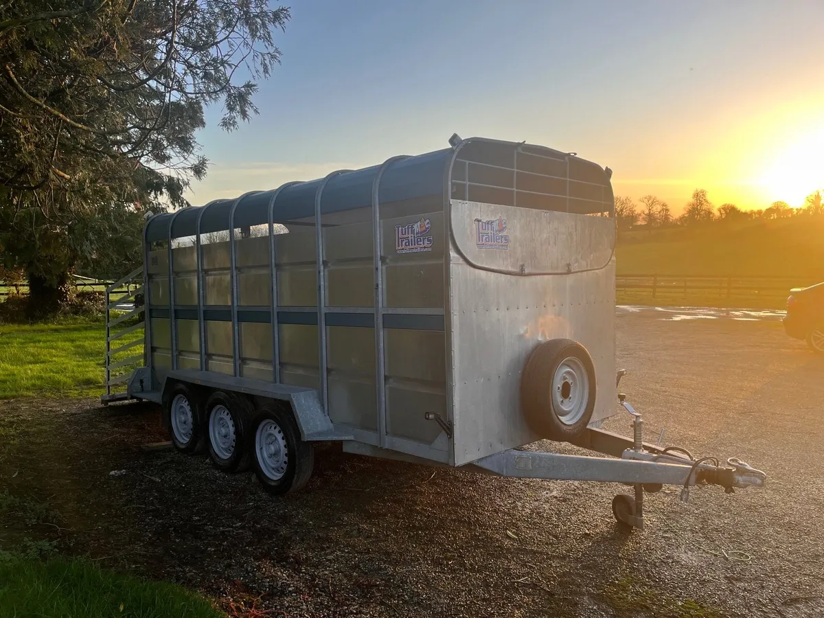 Tuffmac cattle box 14 x 6 - Image 2