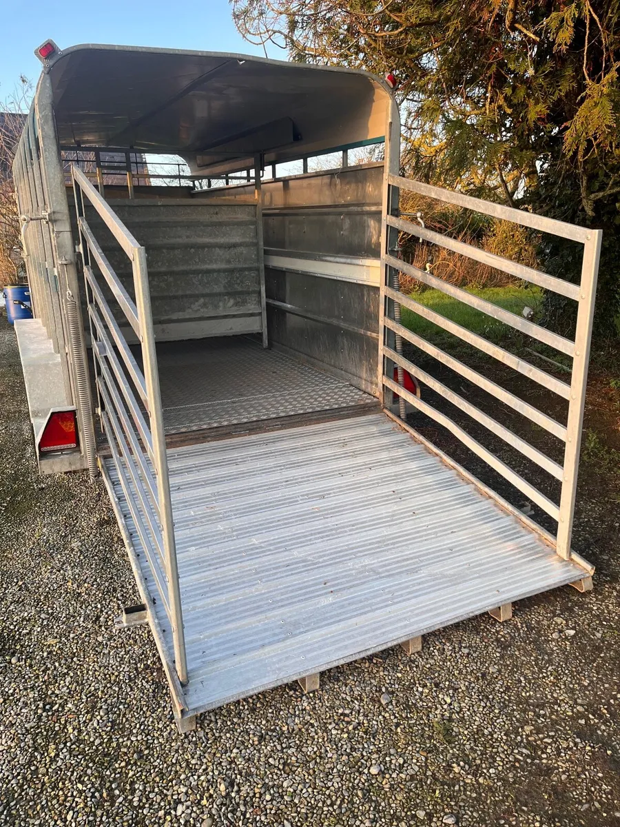 Tuffmac cattle box 14 x 6 - Image 4