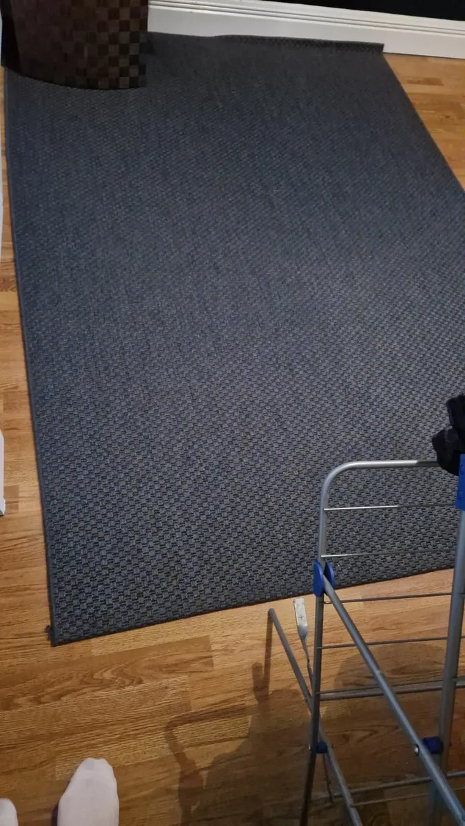 Ikea Rug