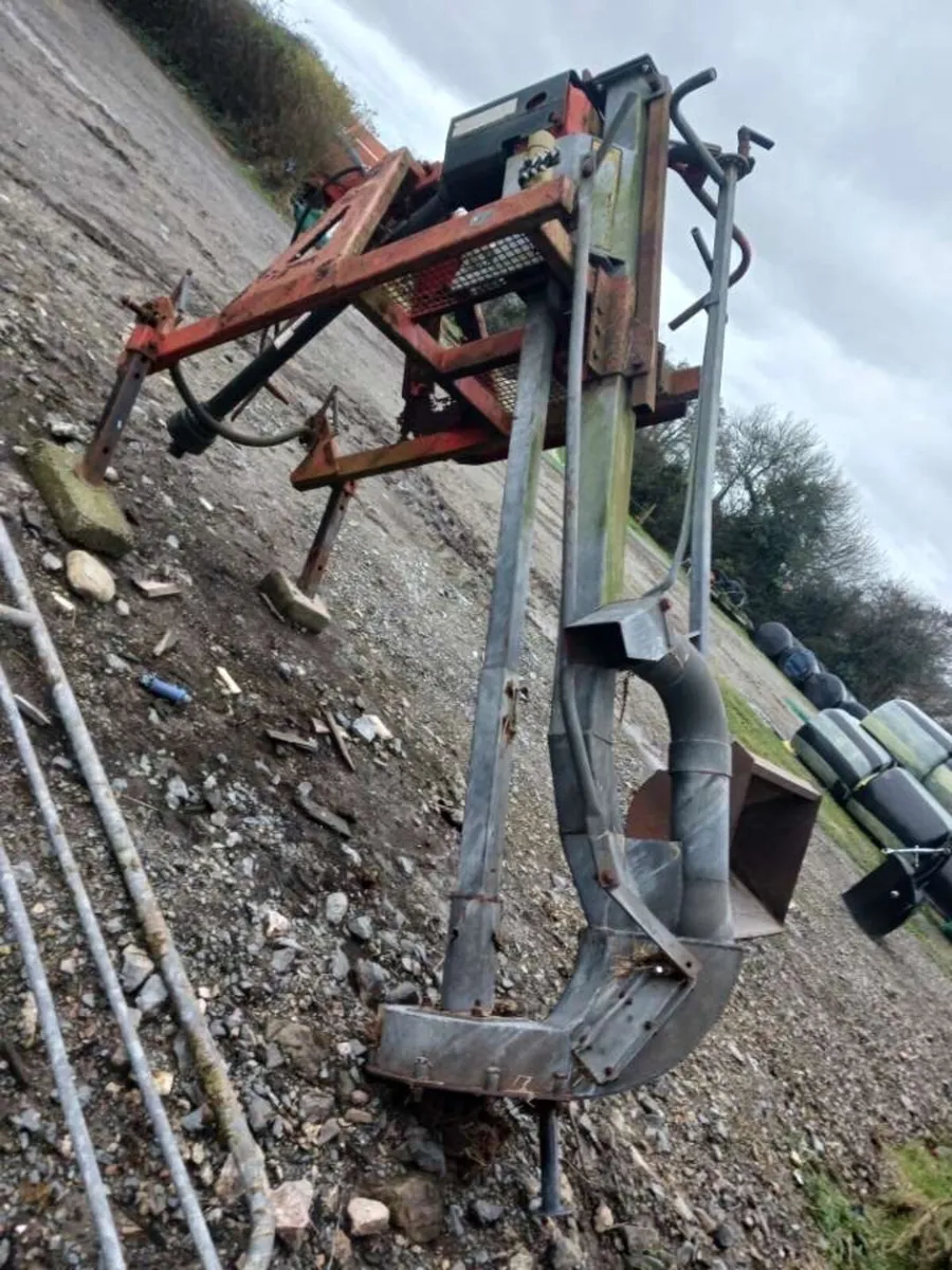 Abbey Agitator - Image 2