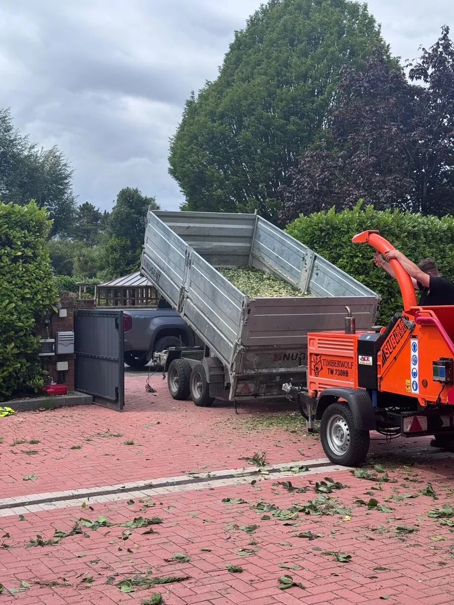 Nugent tipper 2024 12x6 - Image 2