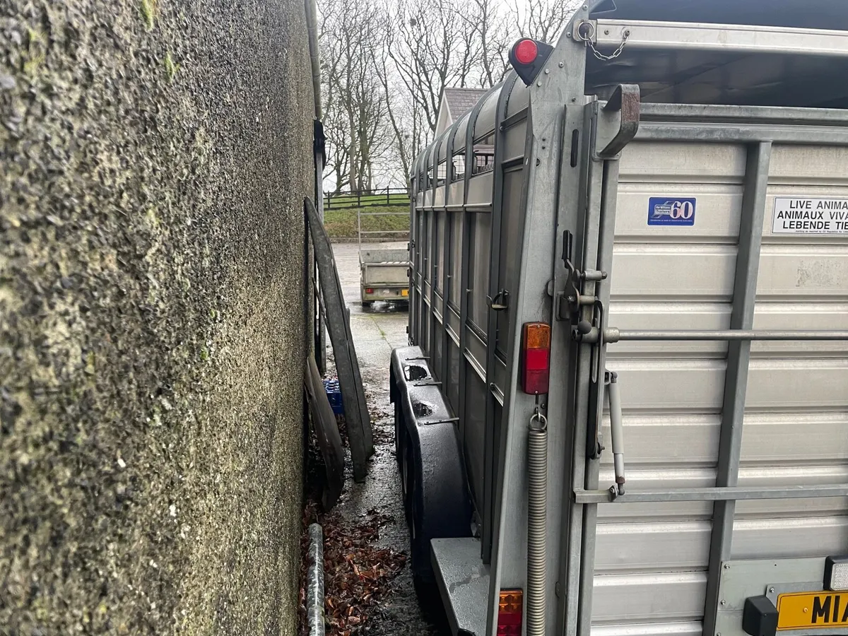 Livestock trailer - Image 4