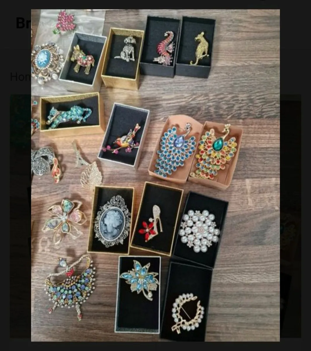 Ladies Brooches/costume jewellery rings - Image 2