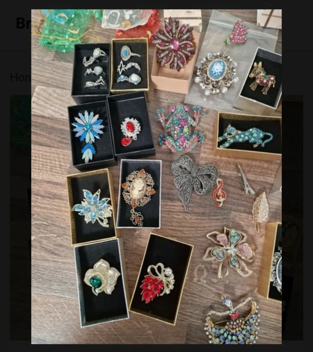 Ladies Brooches/costume jewellery rings - Image 3