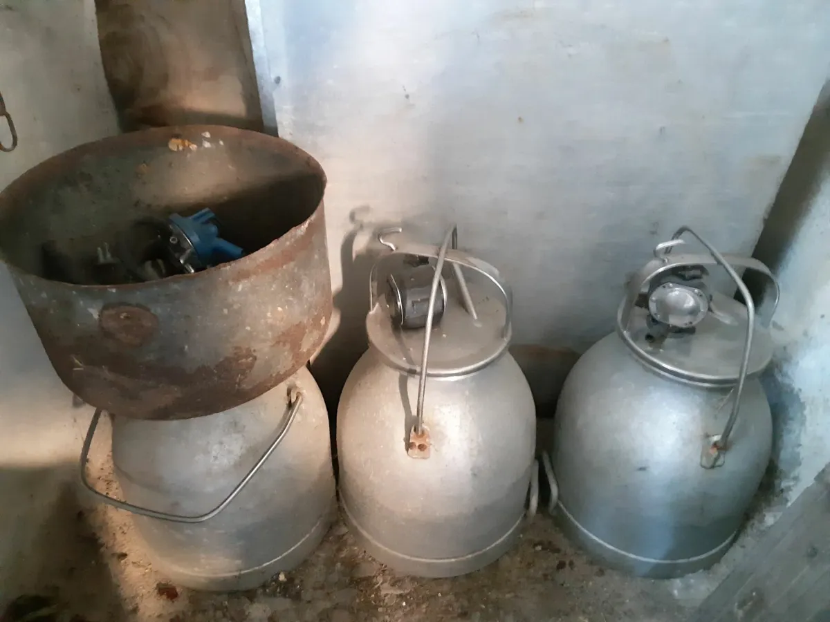 Vintage milking machine, cooler,bulk tank. - Image 1