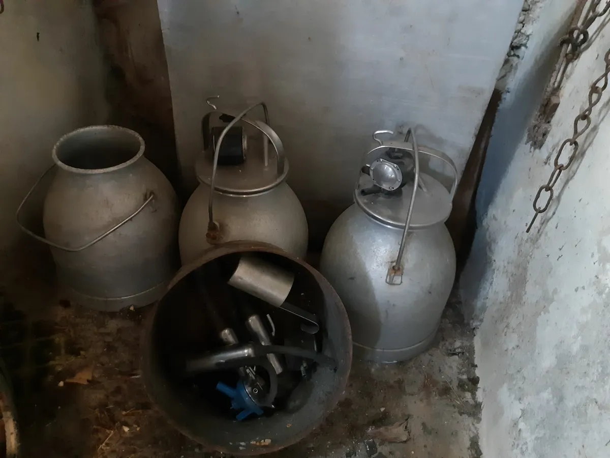 Vintage milking machine, cooler,bulk tank. - Image 2