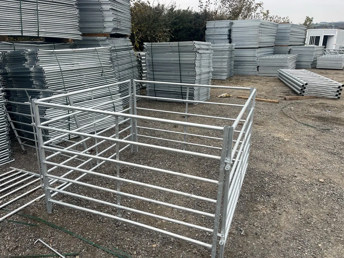 Sheep and calf hordels - Image 3