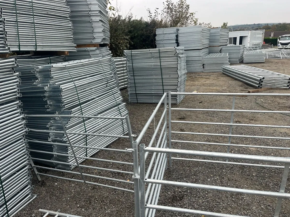 Sheep & Calf hordols all type of gates - Image 3