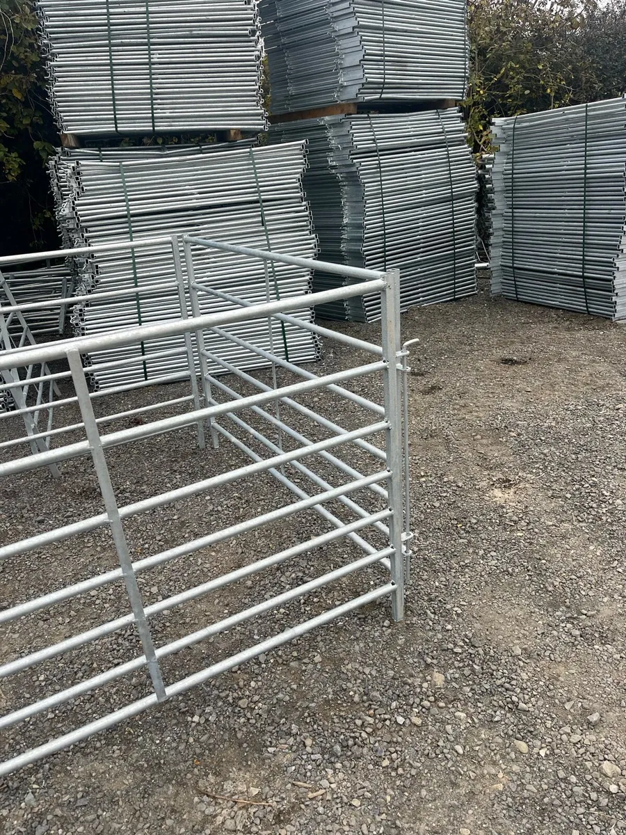 Sheep & Calf hordols all type of gates - Image 1