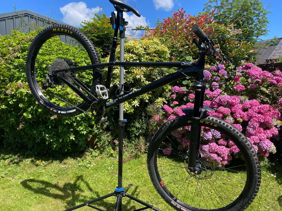 Octane One Sour - Medium - Image 1