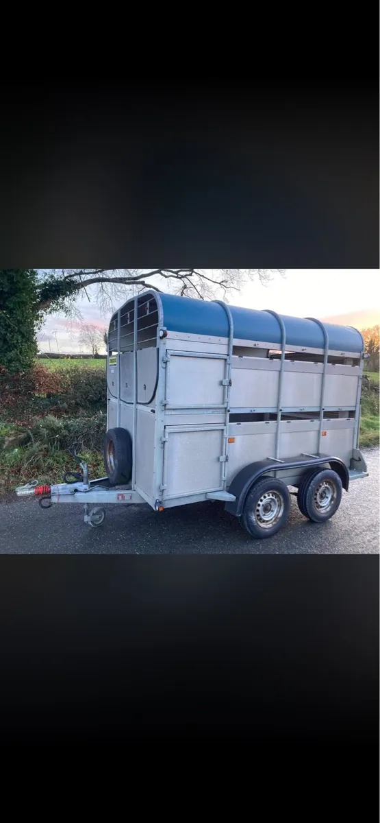 WANTED ADD” For Murphy or Crooks Livestock trailer - Image 2