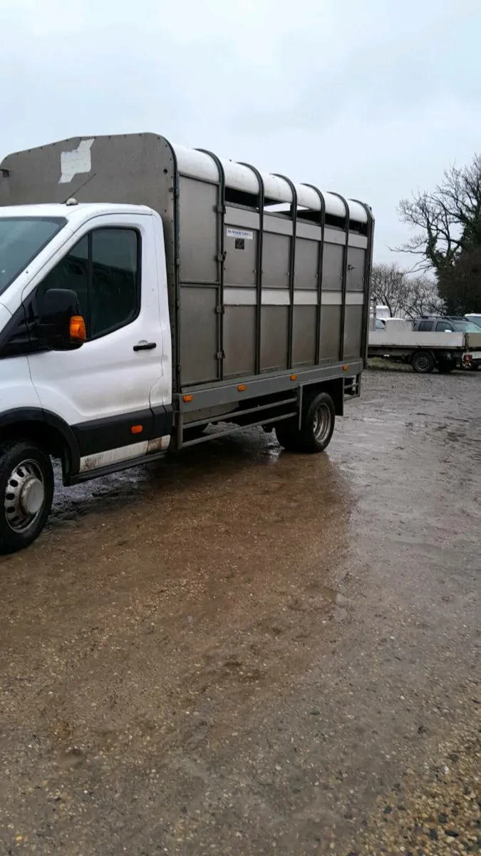 Sheep horse  lorry - Image 1