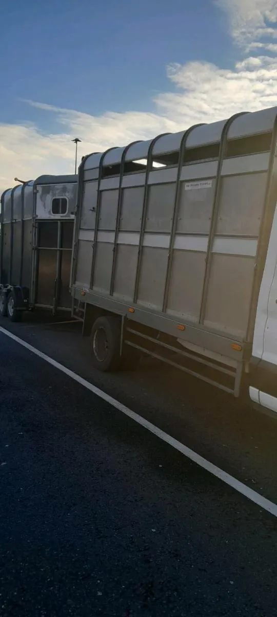 Sheep horse  lorry - Image 3