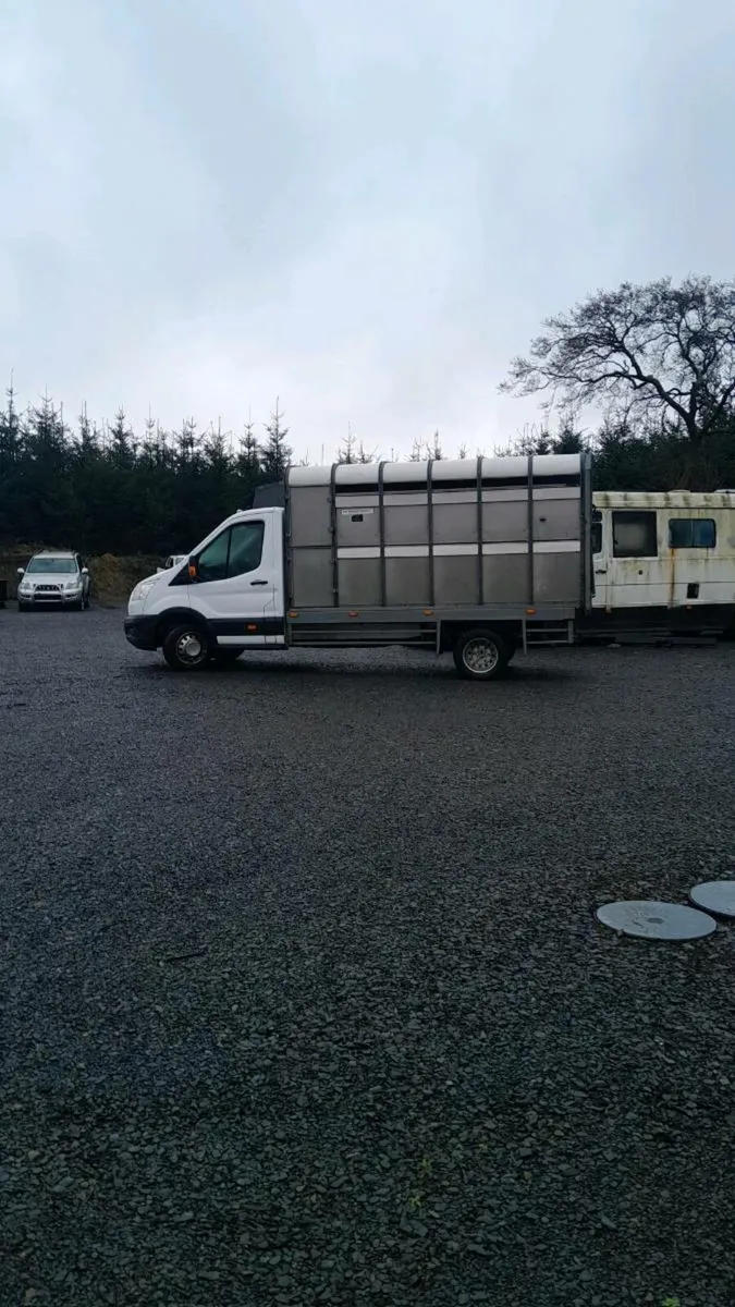 Sheep horse  lorry - Image 4