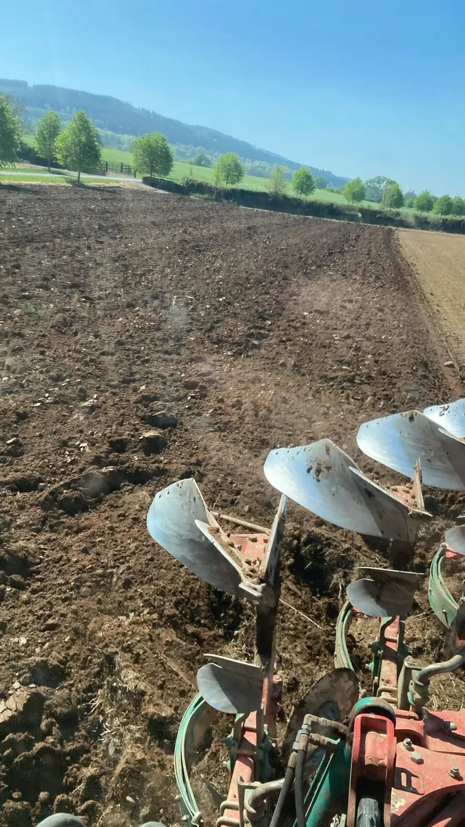 Looking for Land Potatoes & Cereals - Image 2