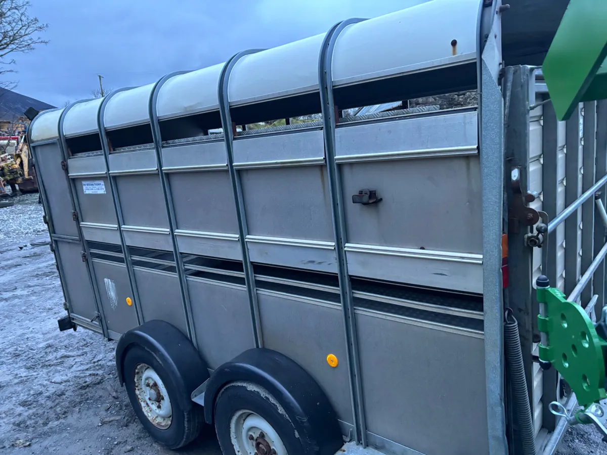 Ivor Williams 12X6 Livestock C/W Decks - Image 4