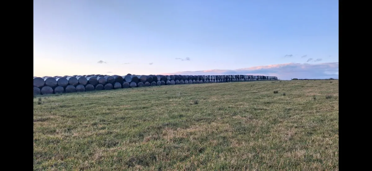 Haylage bales for sale