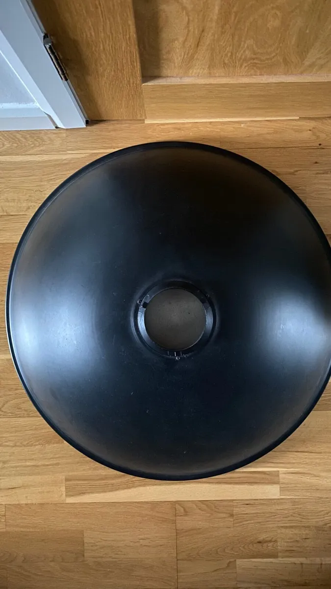 Studio dish - Image 2