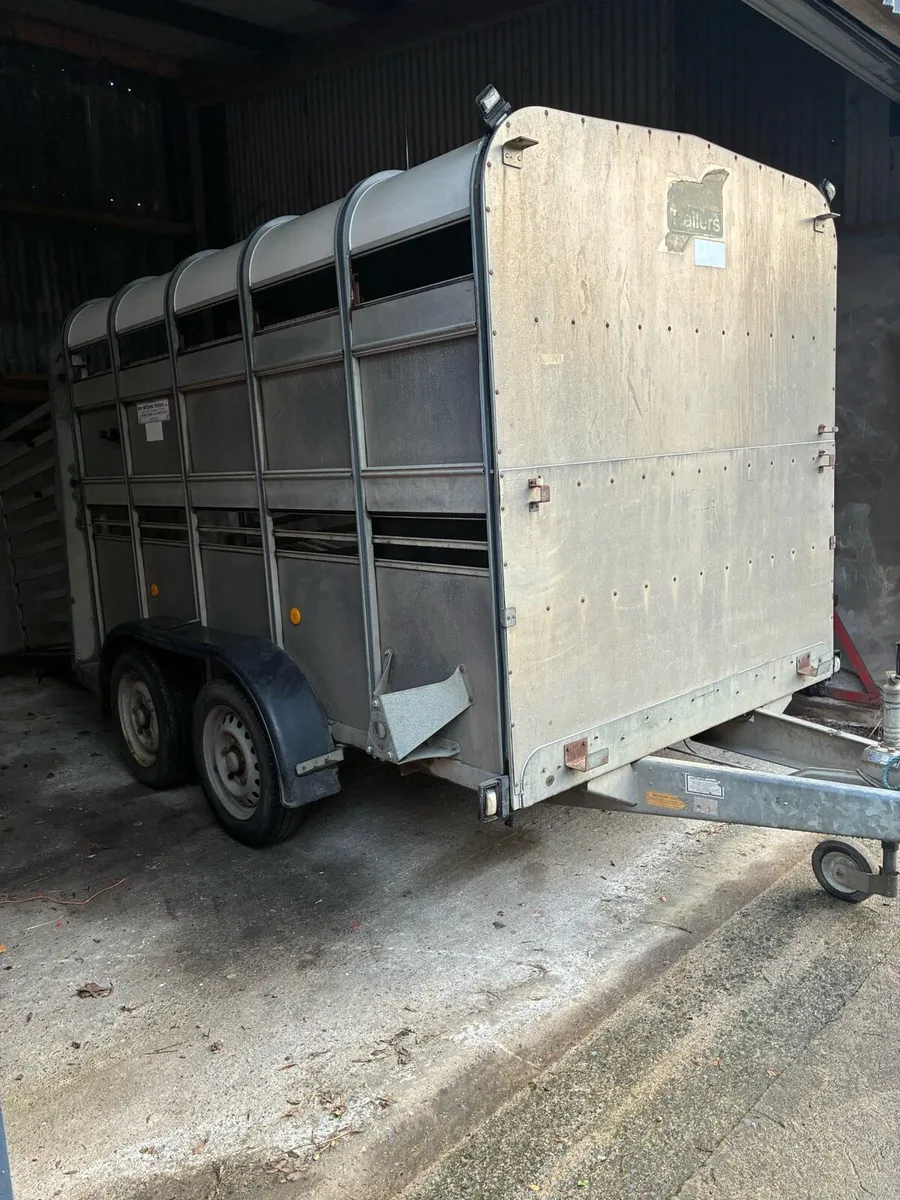 Ifor williams 10x6 cattle trailer with sheep decks - Image 2