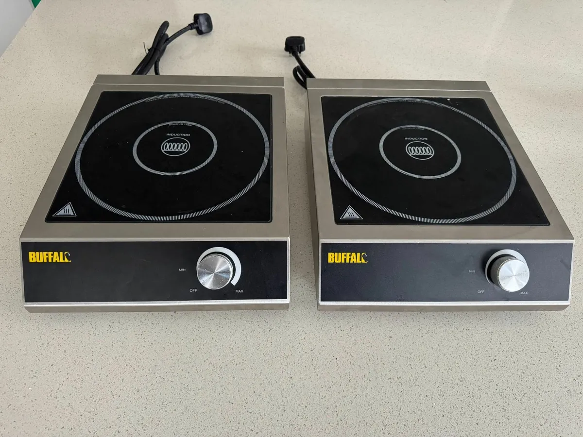 Undercounter Freezer and Buffalo Induction Cooker - Image 3