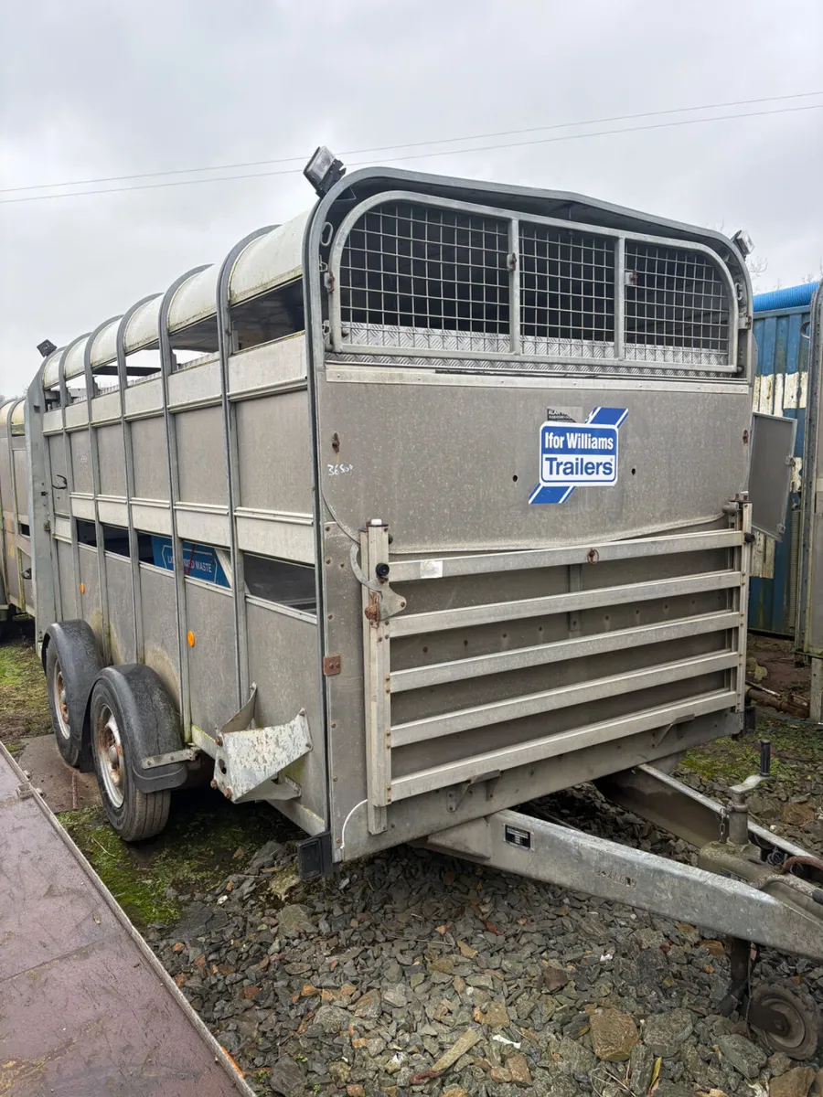 Ifor Williams 12ft cattle trailer - Image 1