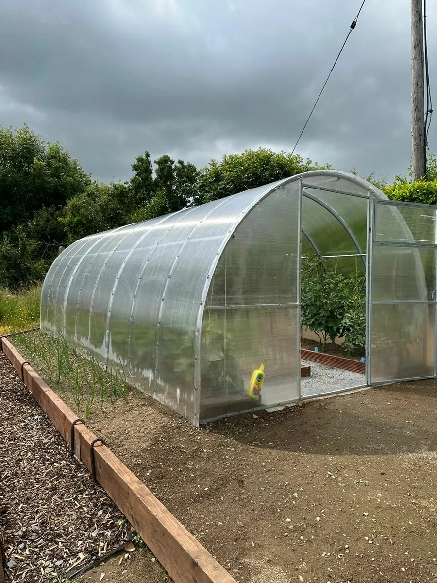 Polycarbonate Greenhouse “Champion” – 3×8 m - Image 1