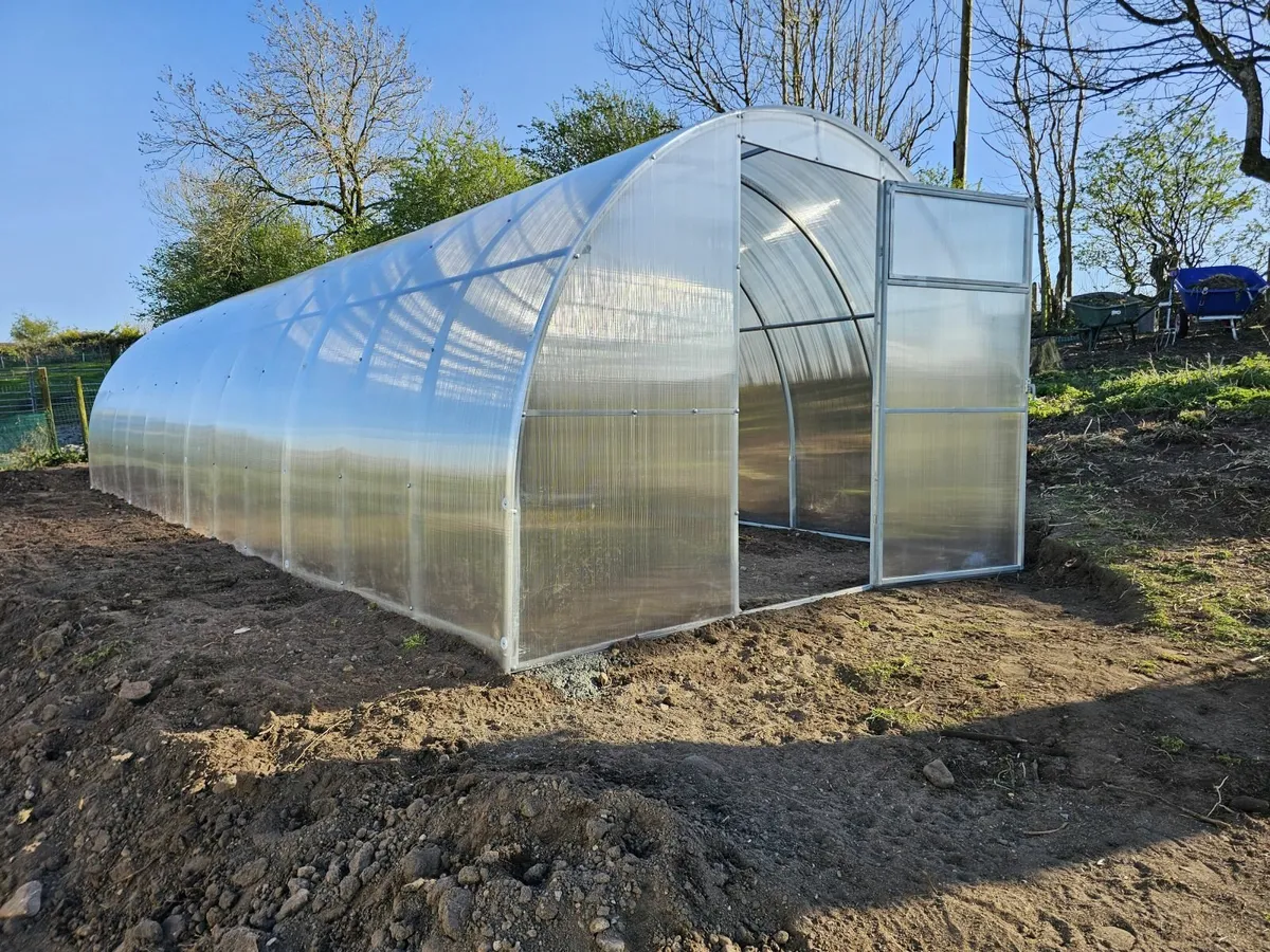 Polycarbonate Greenhouse “Champion” – 3×8 m - Image 4