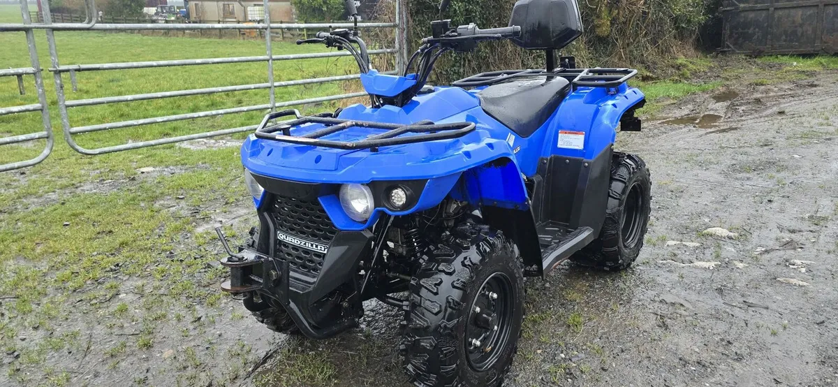 Quadzilla 150cc - Image 1