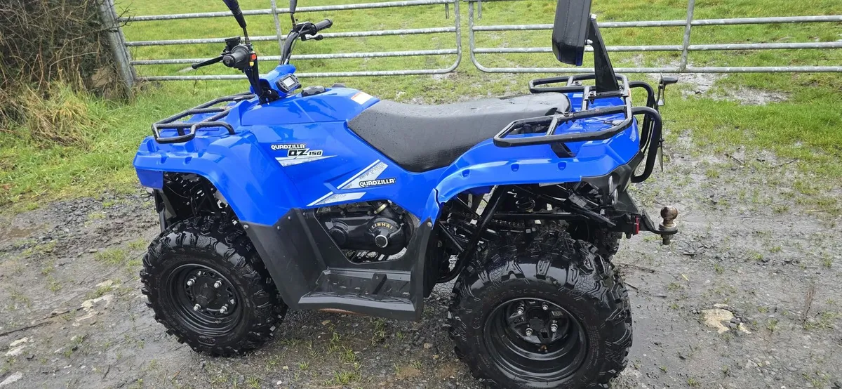 Quadzilla 150cc - Image 2