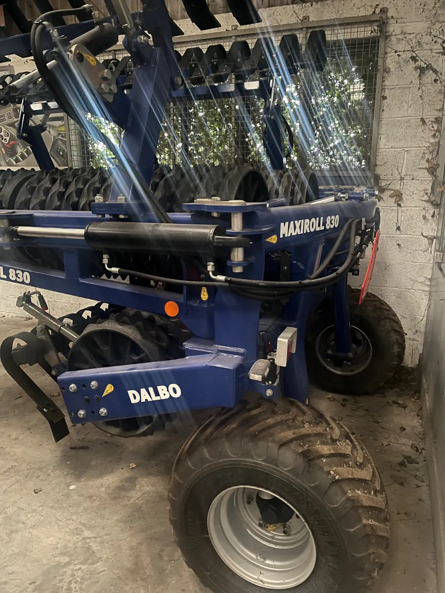 Dalbo 8.3 meter - Image 3