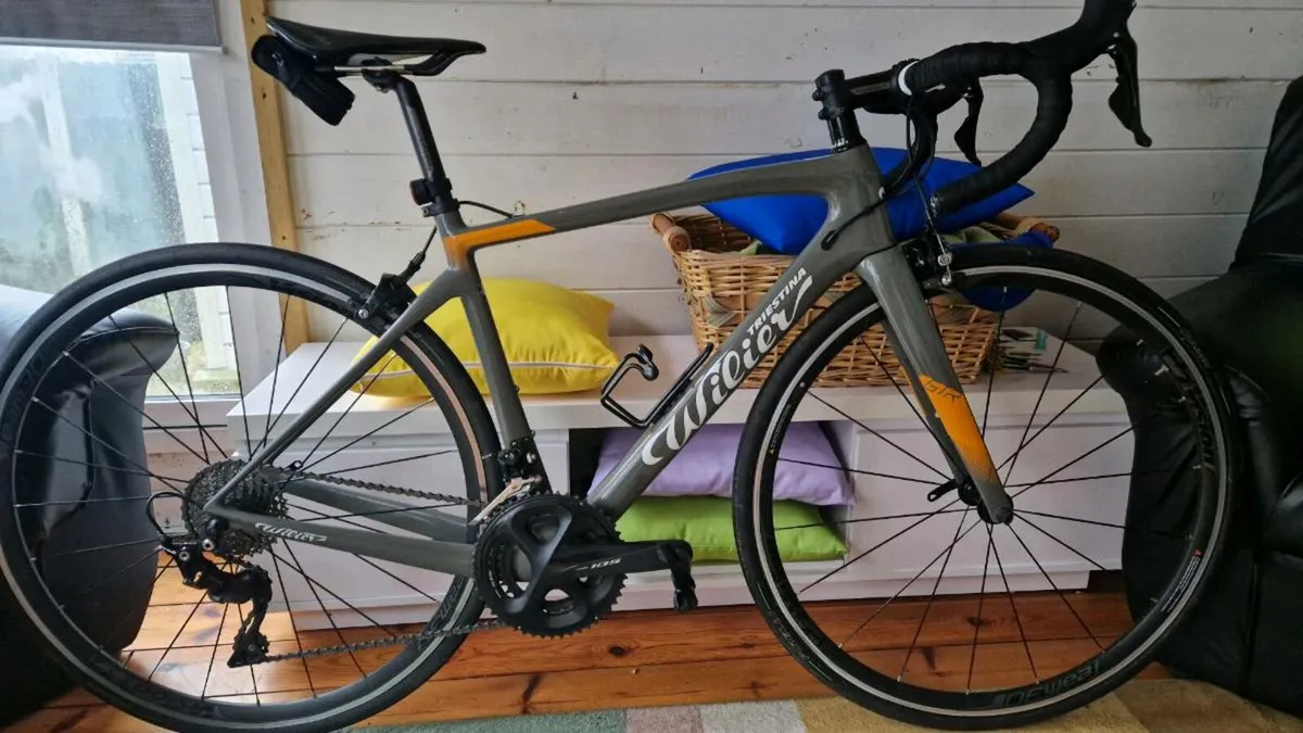 Wilier Road Bike Full Carbon - Image 1