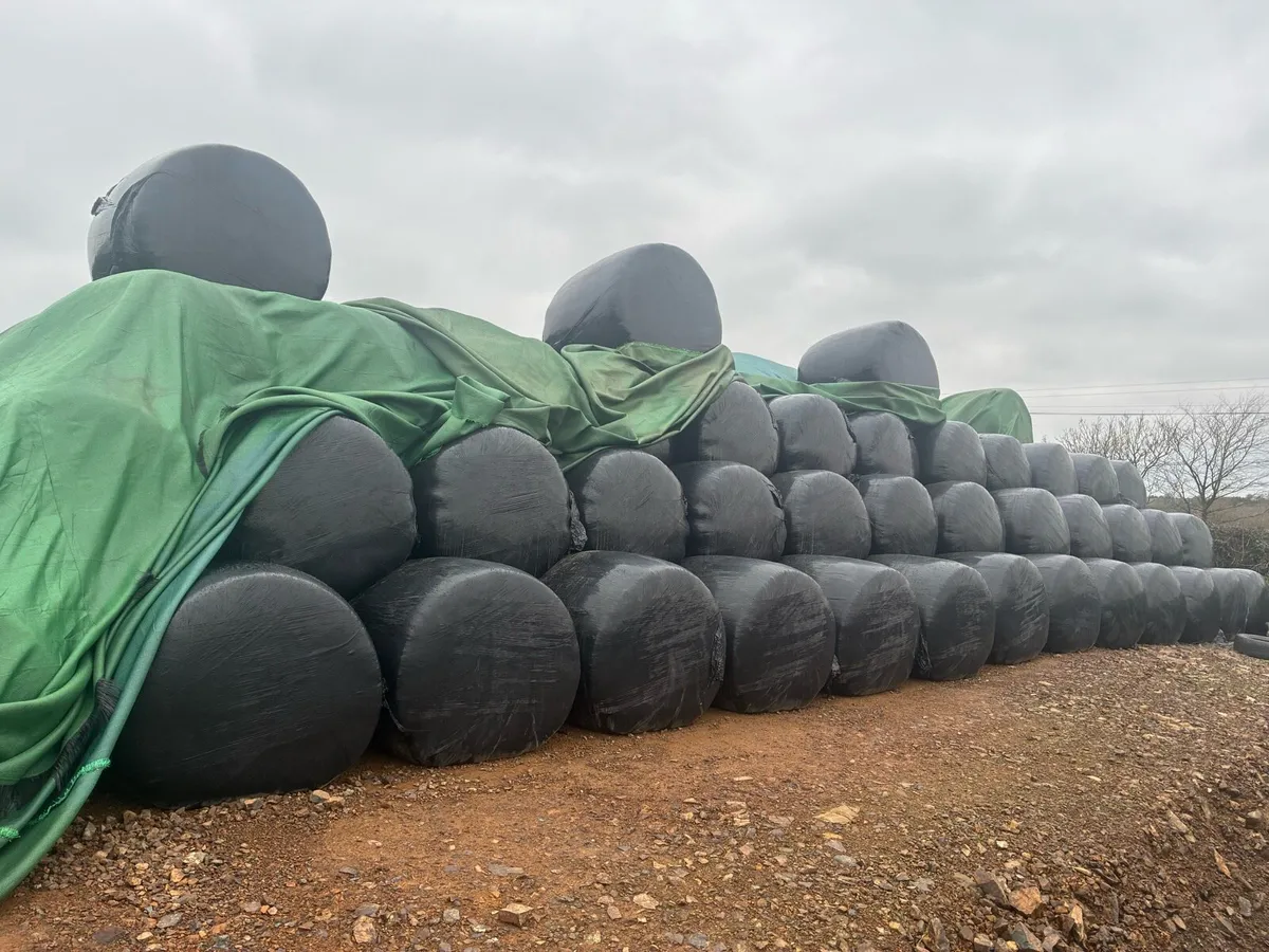 **. Maize Bales *** - Image 1