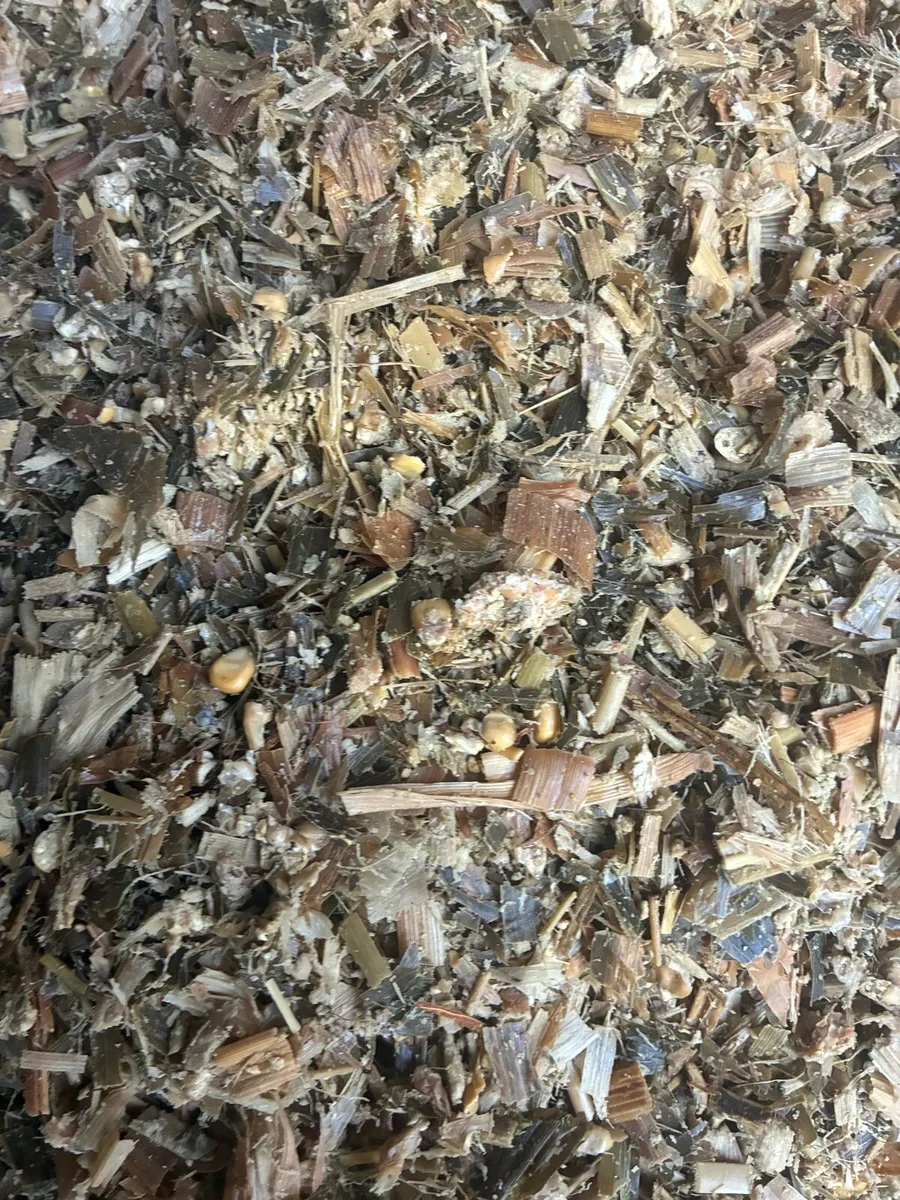 **. Maize Bales *** - Image 2