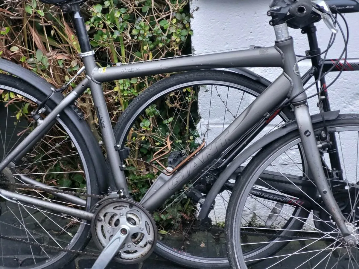 2 HYBRID STYLE BIKES 100 PER BIKE - Image 4