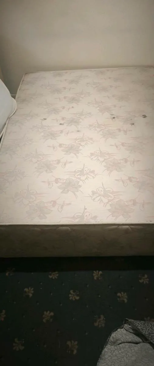 Double sized Bed - Image 1