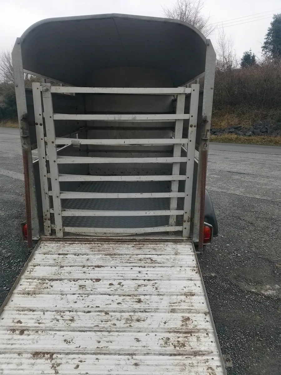 Hudson 8x5 - Image 4