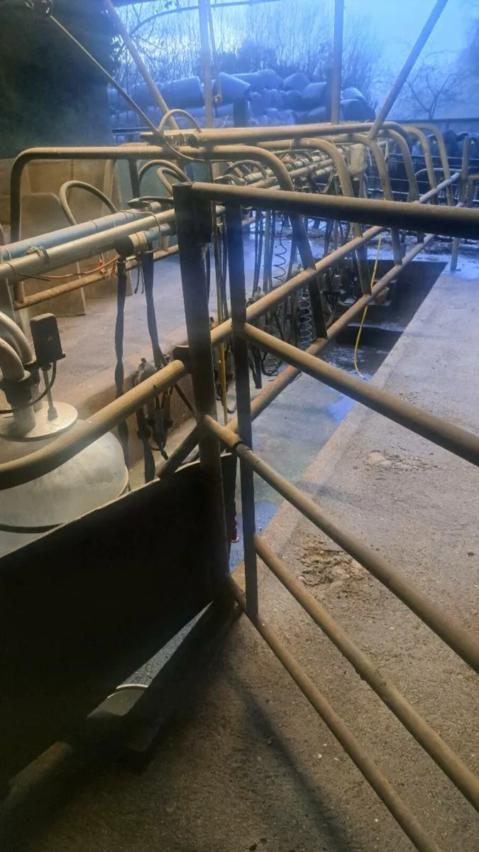 6 unit milking parlour - Image 1
