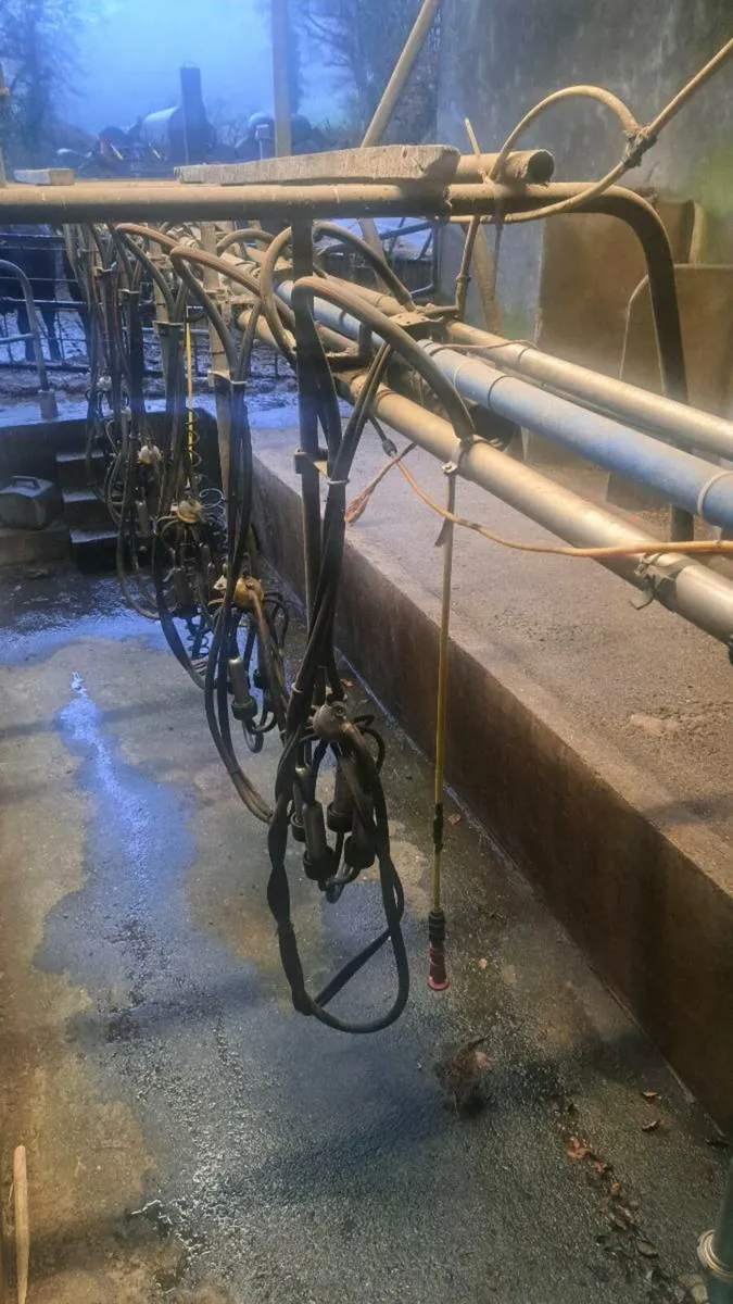 6 unit milking parlour - Image 3