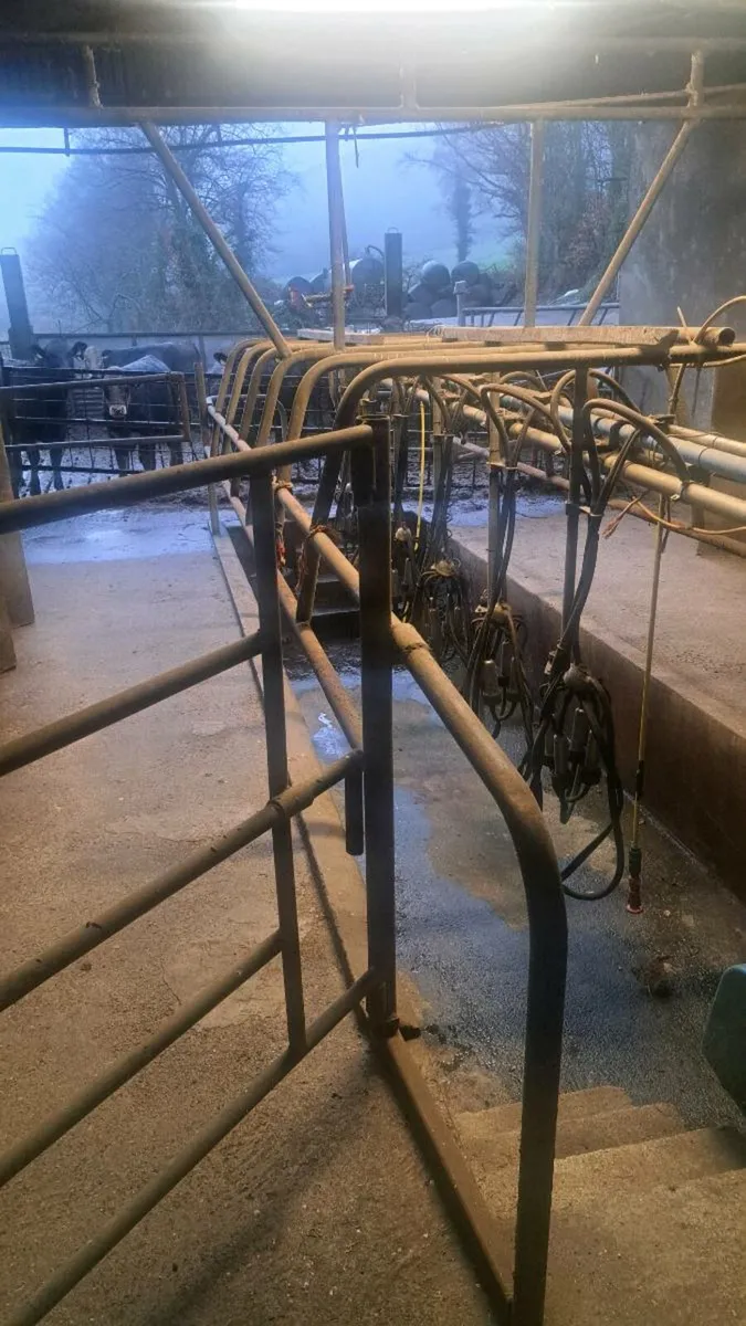 6 unit milking parlour - Image 4