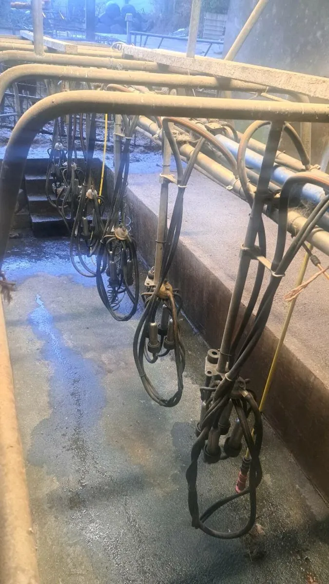 6 unit milking parlour - Image 2